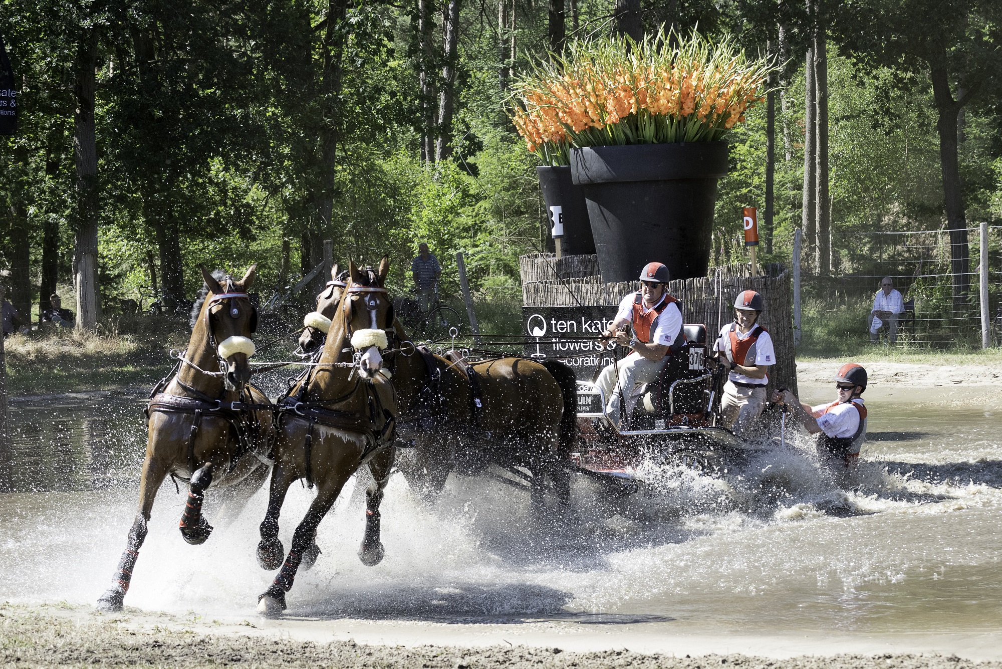 Paardenspektakel Beekbergen: topsport en paardenplezier